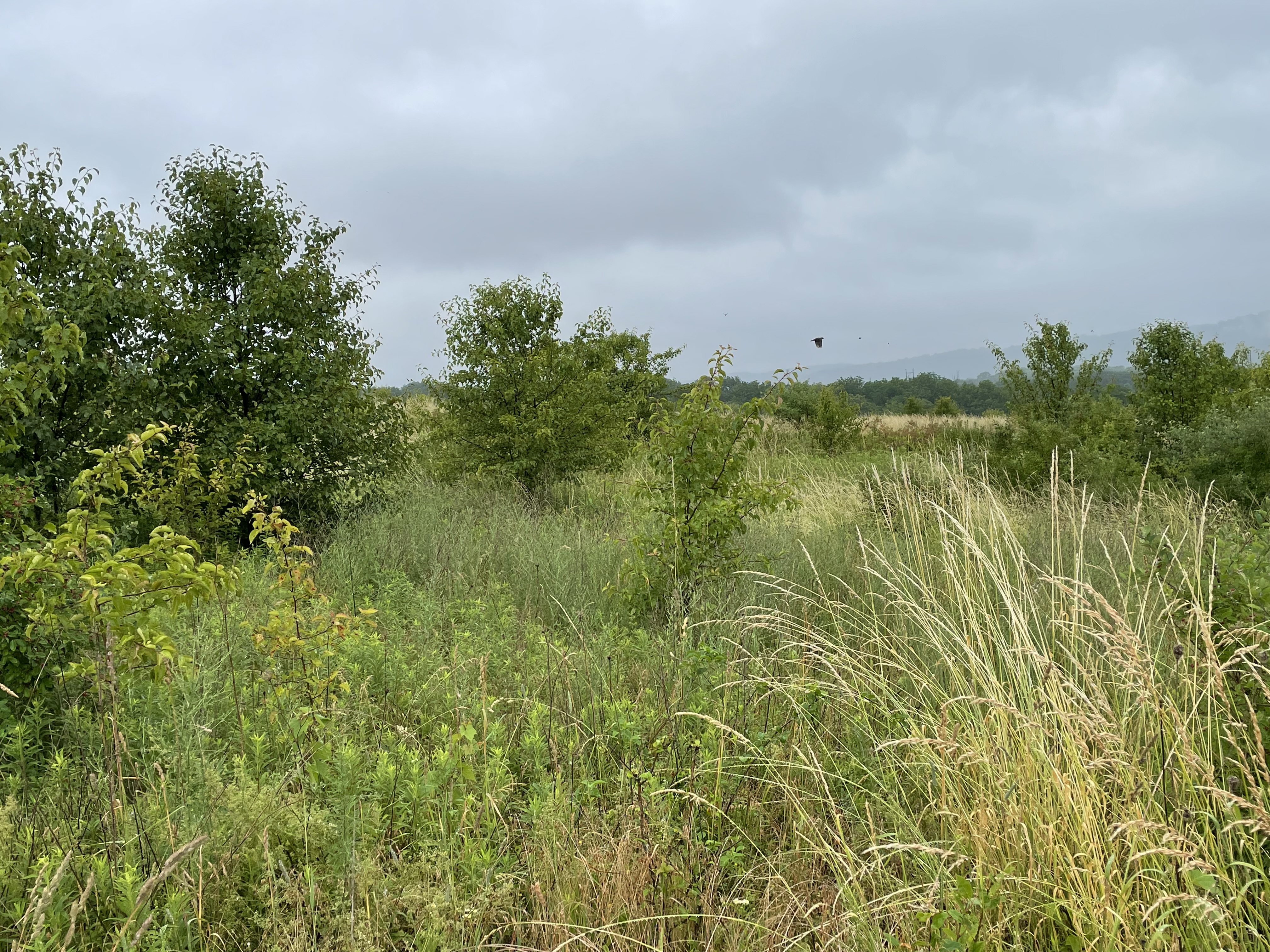 Property Photo #3