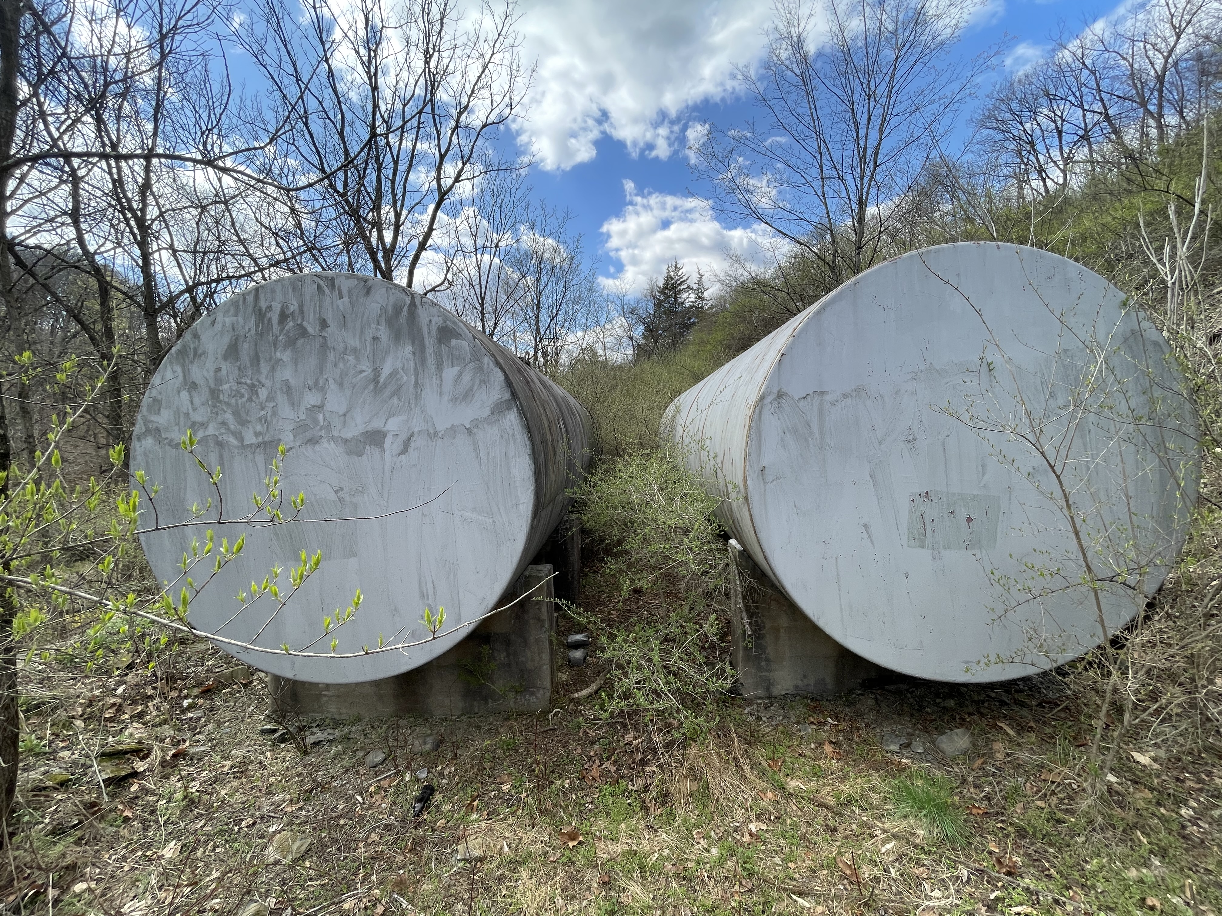 Property Photo #4