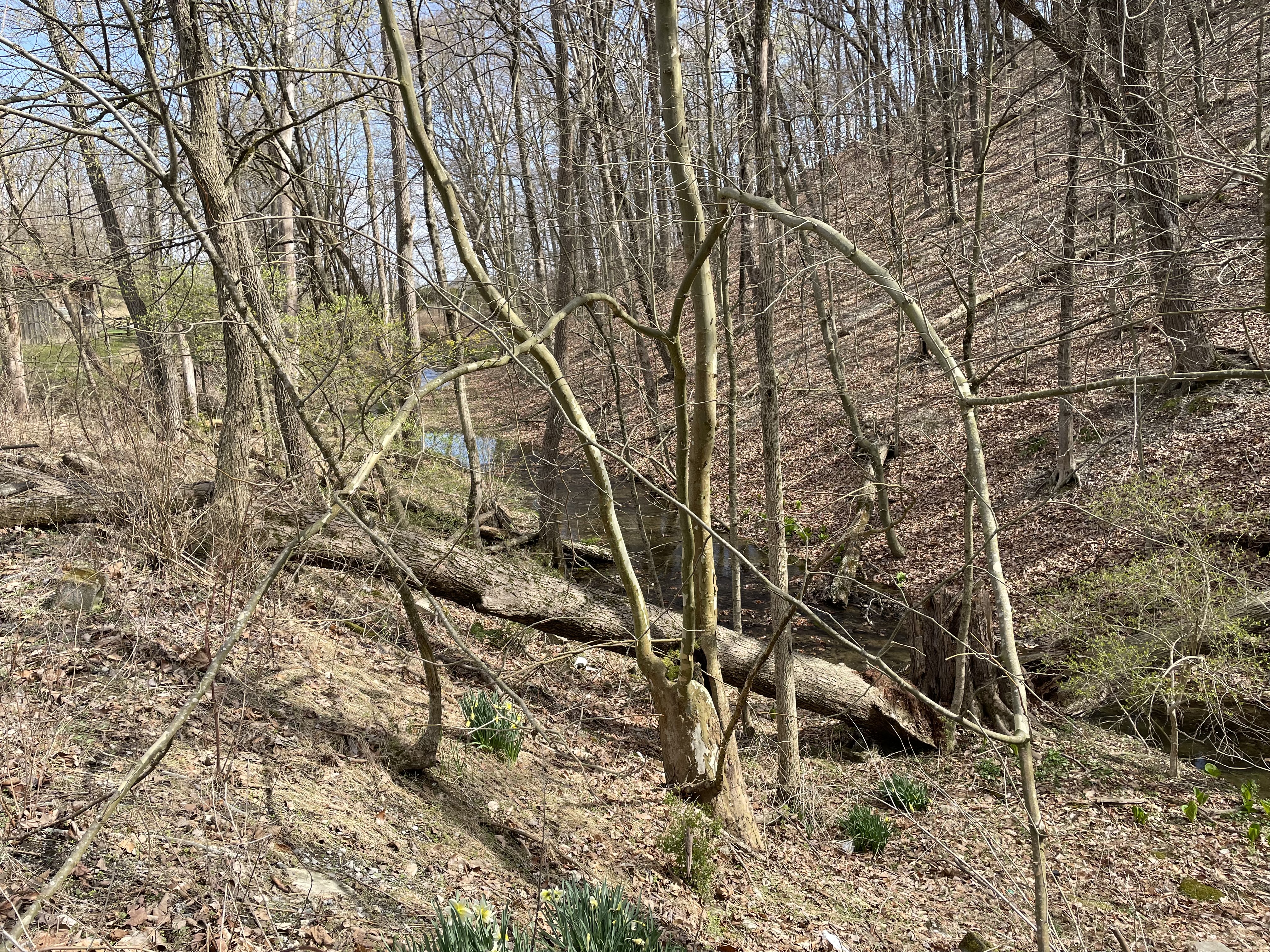Property Photo #5