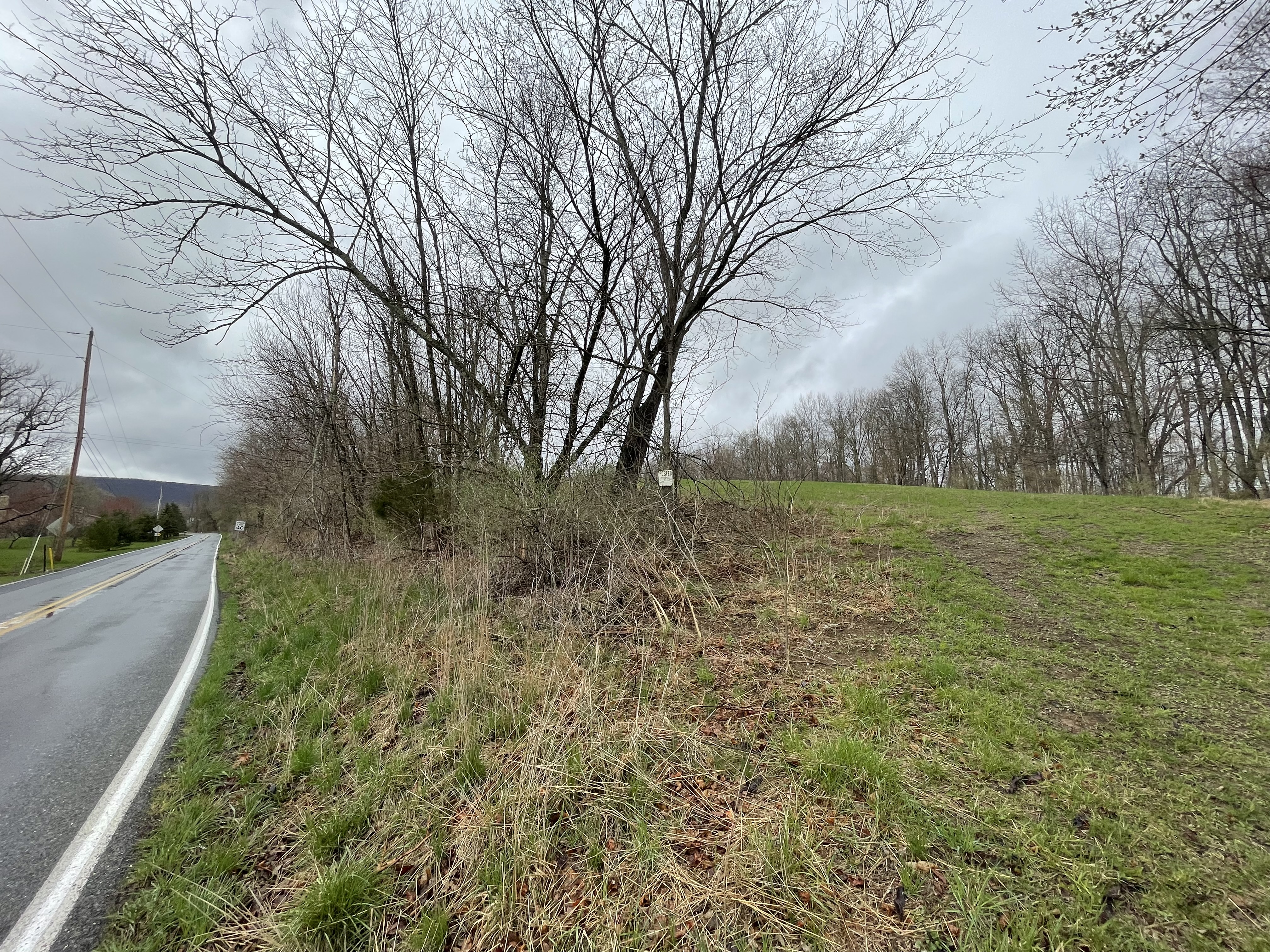 Property Photo #9