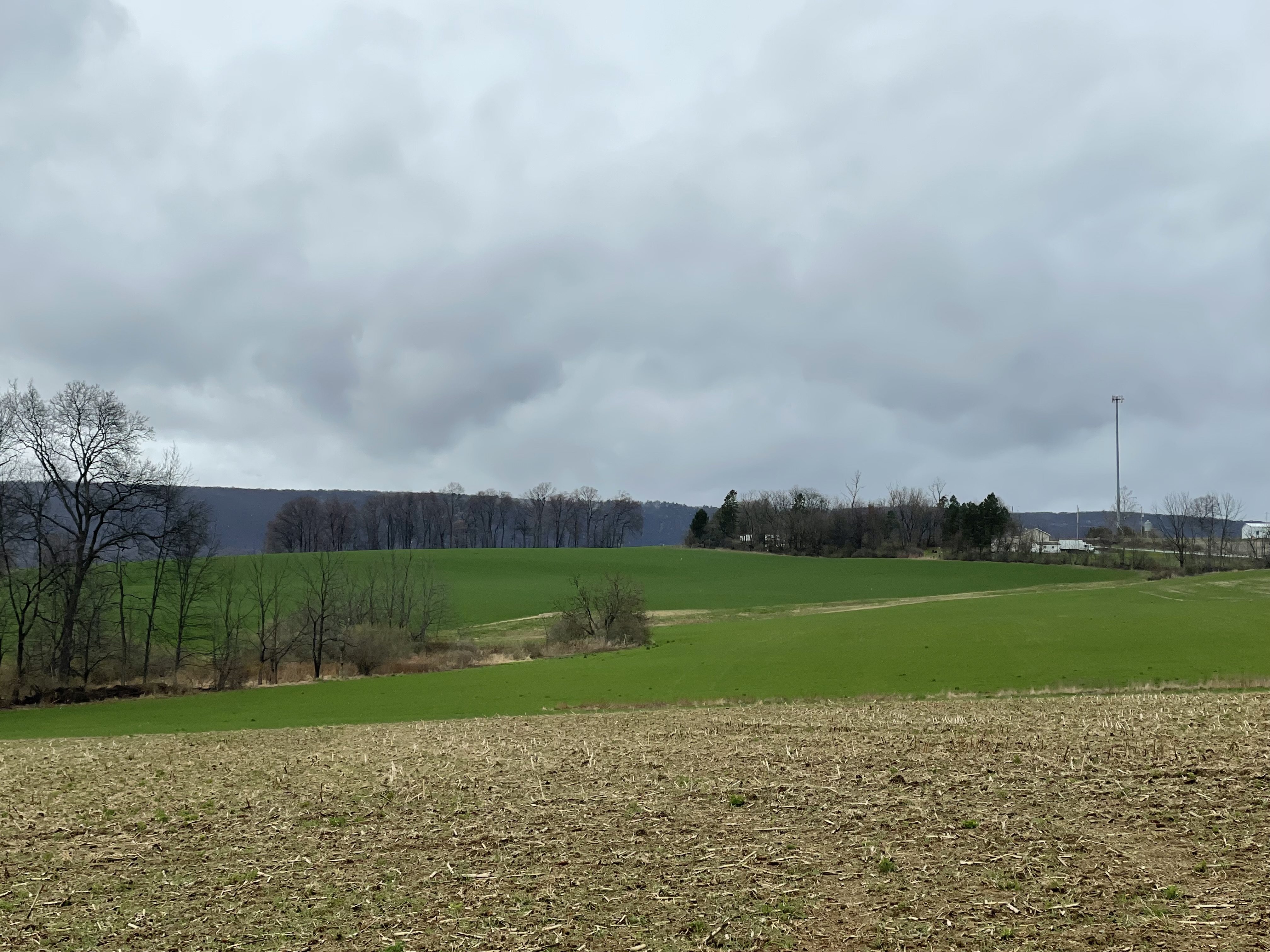 Property Photo #2