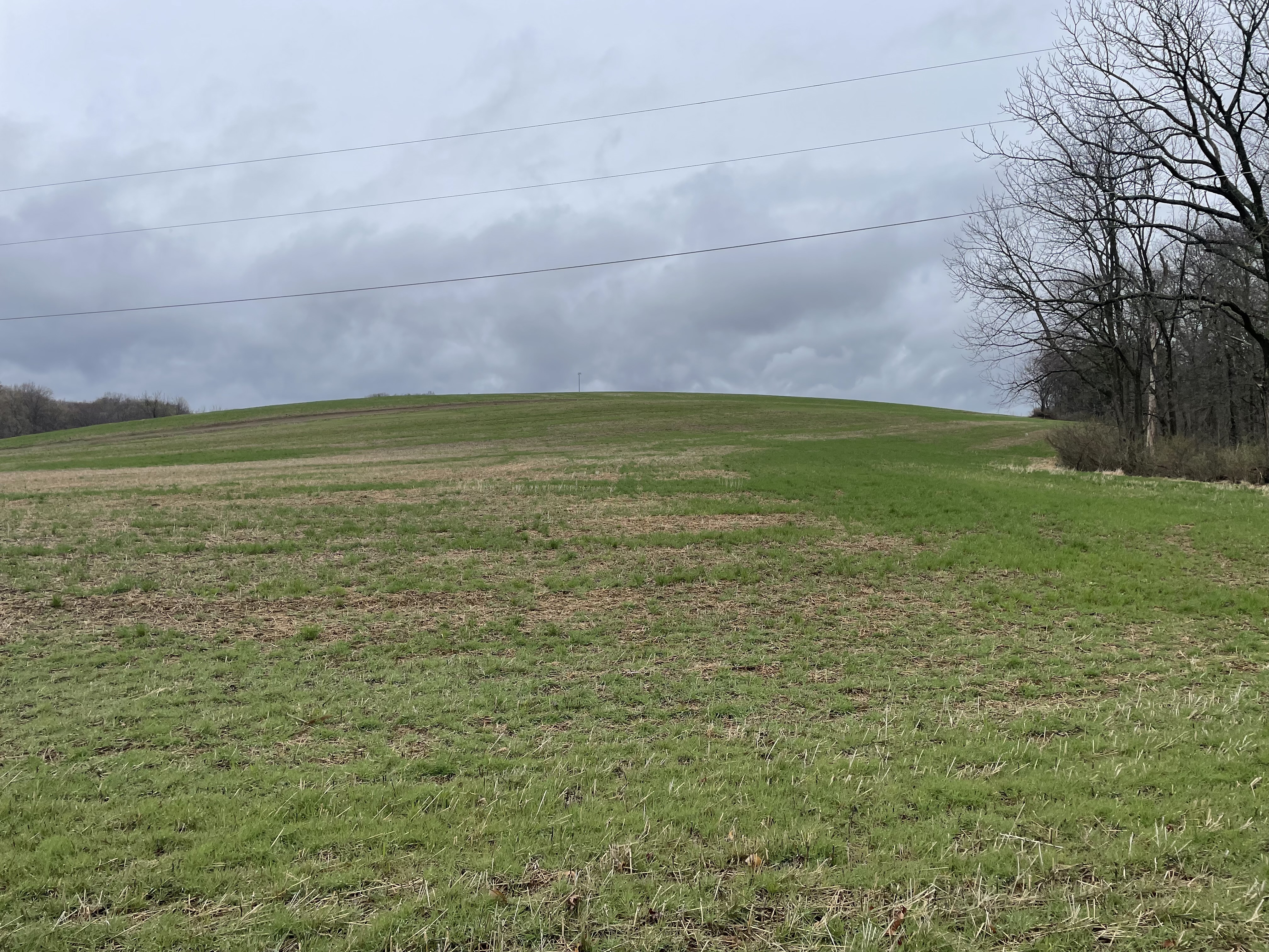 Property Photo #3