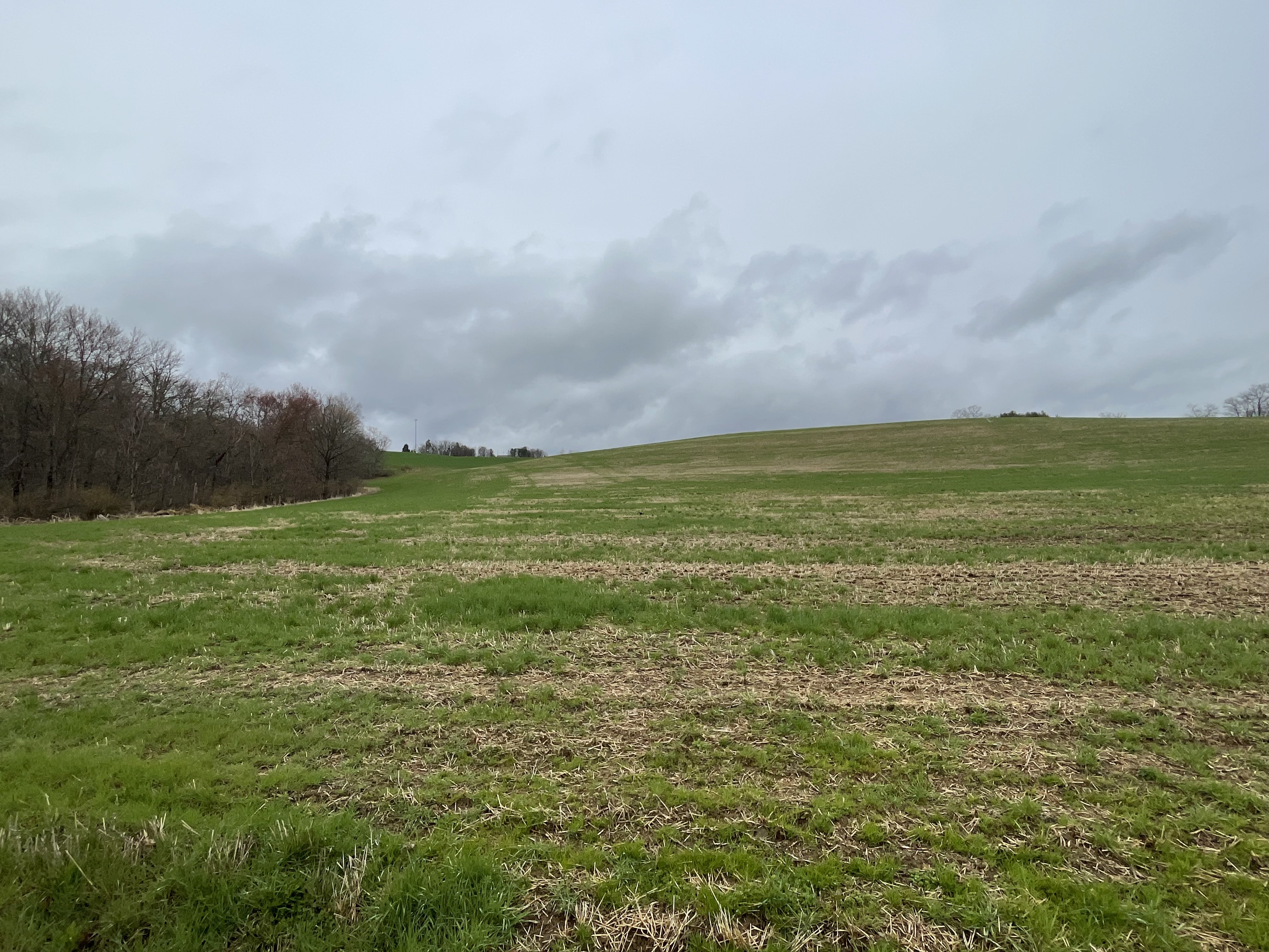 Property Photo #4
