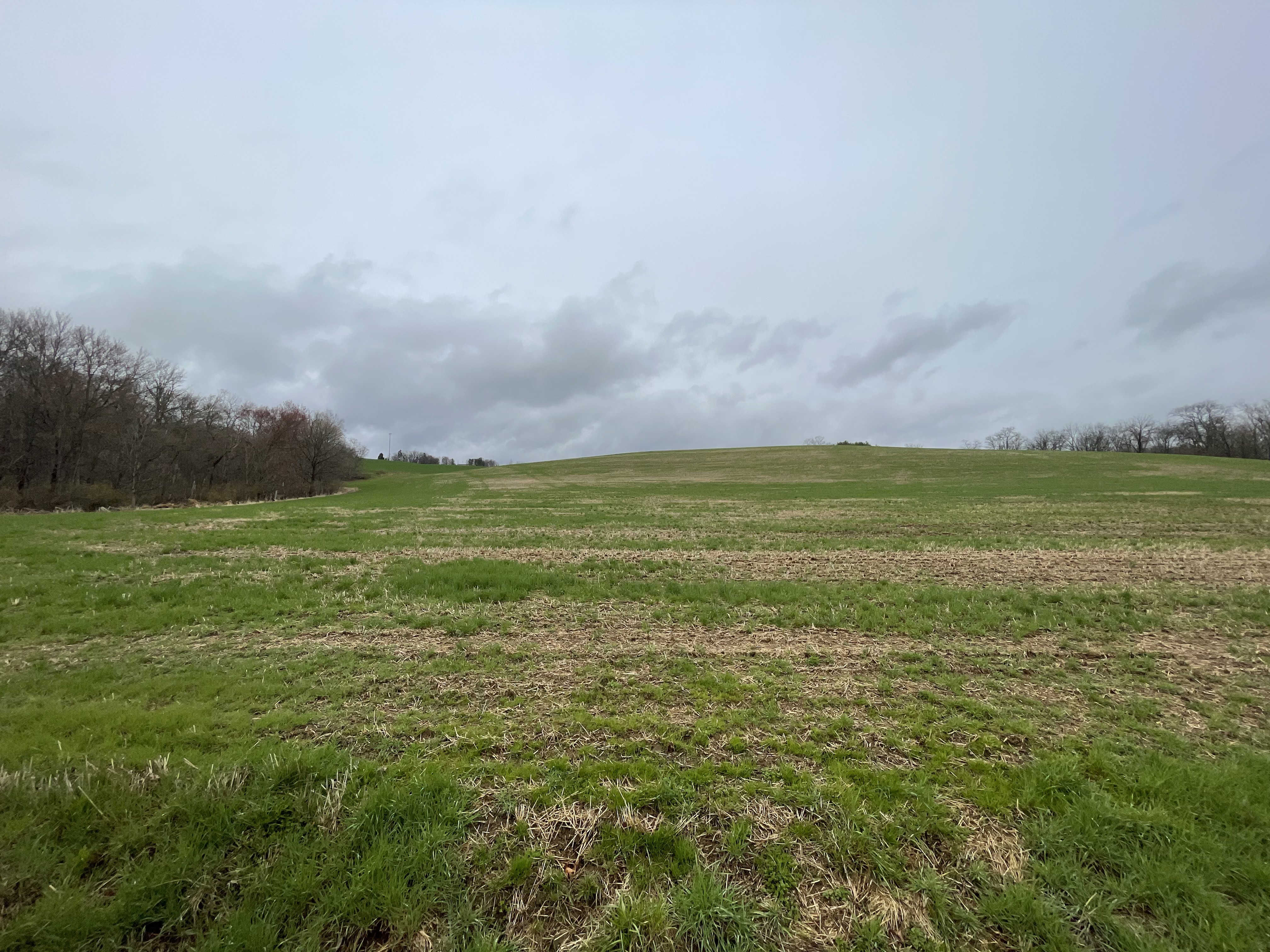 Property Photo #5