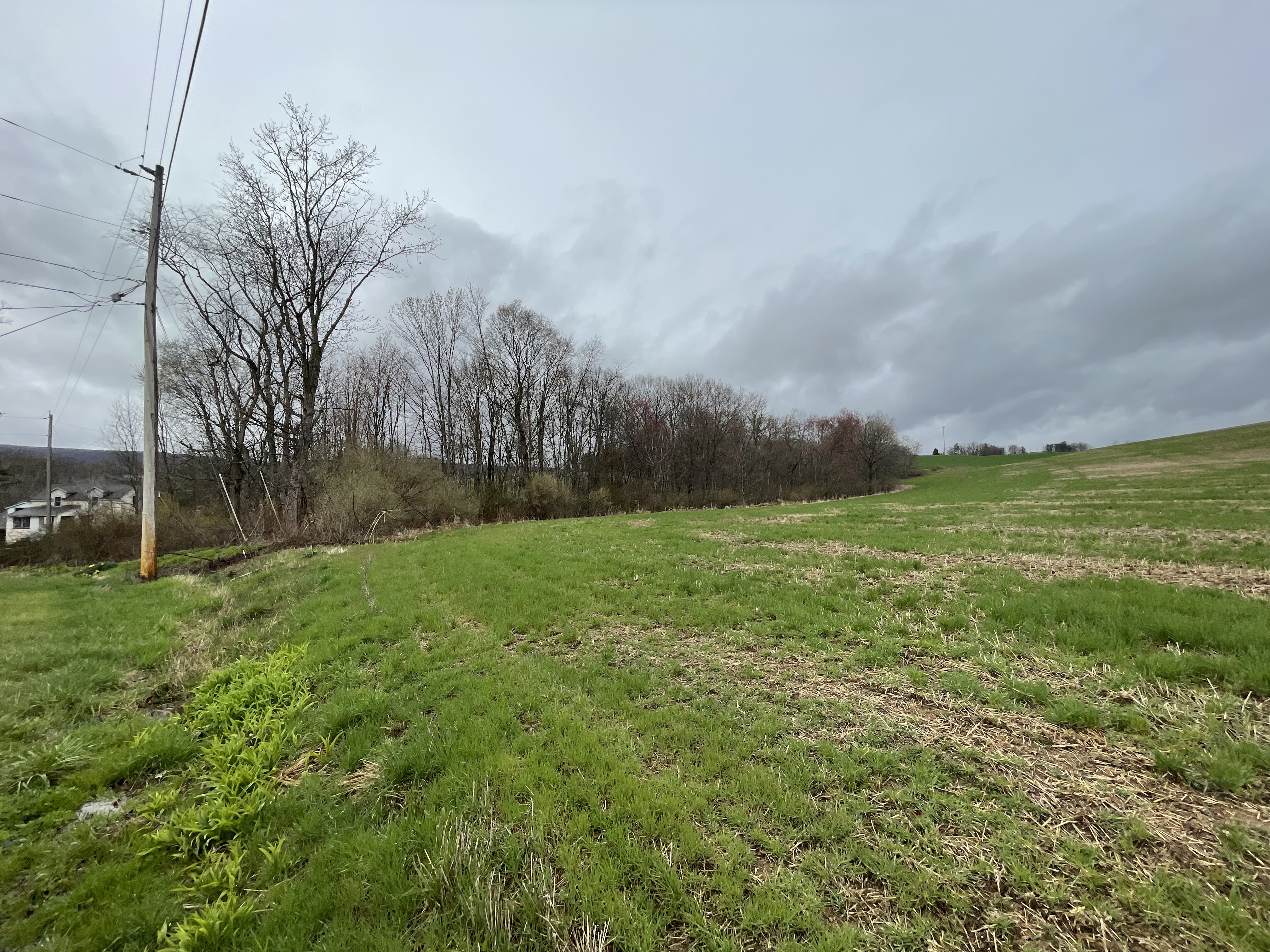 Property Photo #6