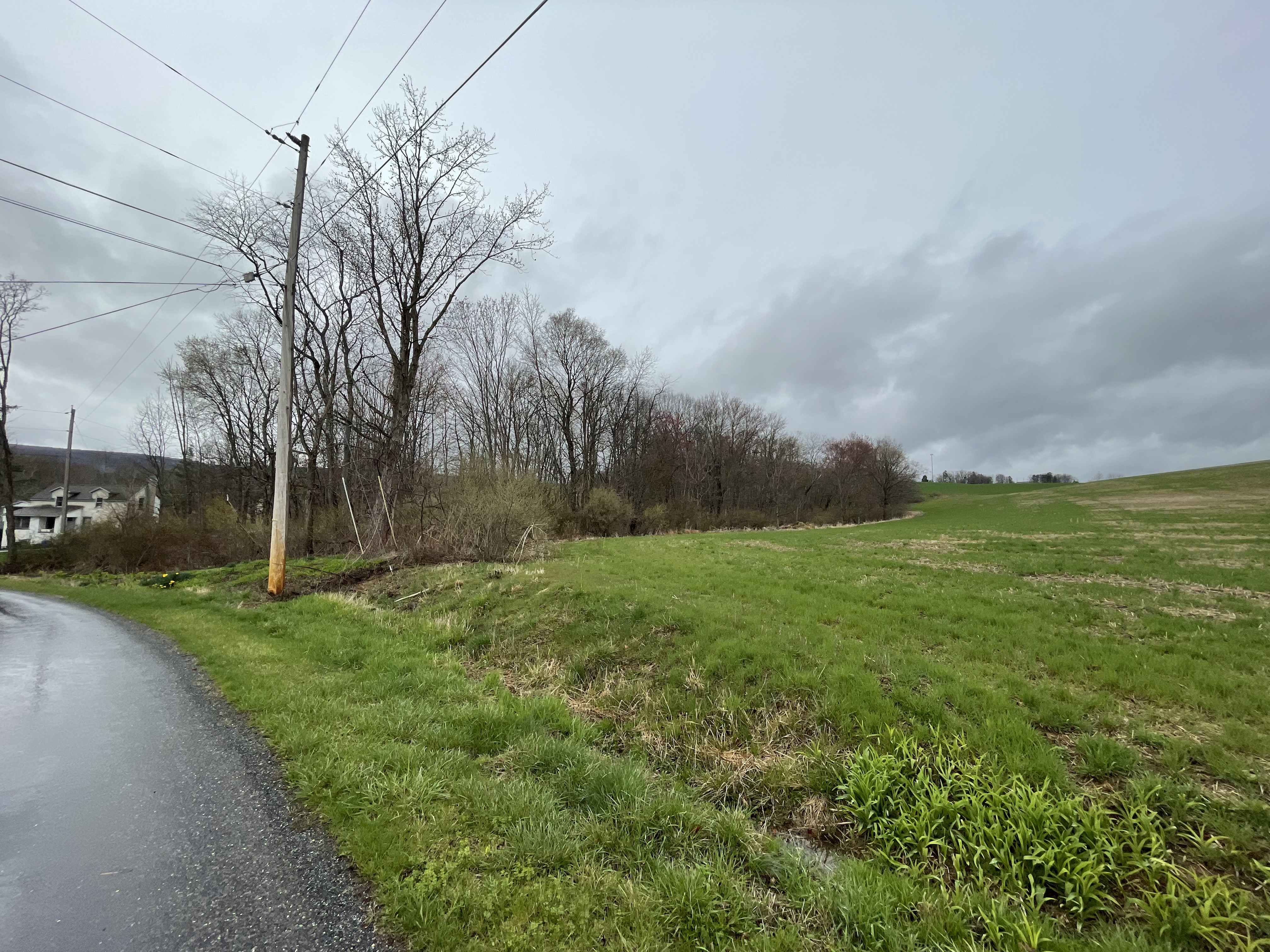 Property Photo #7