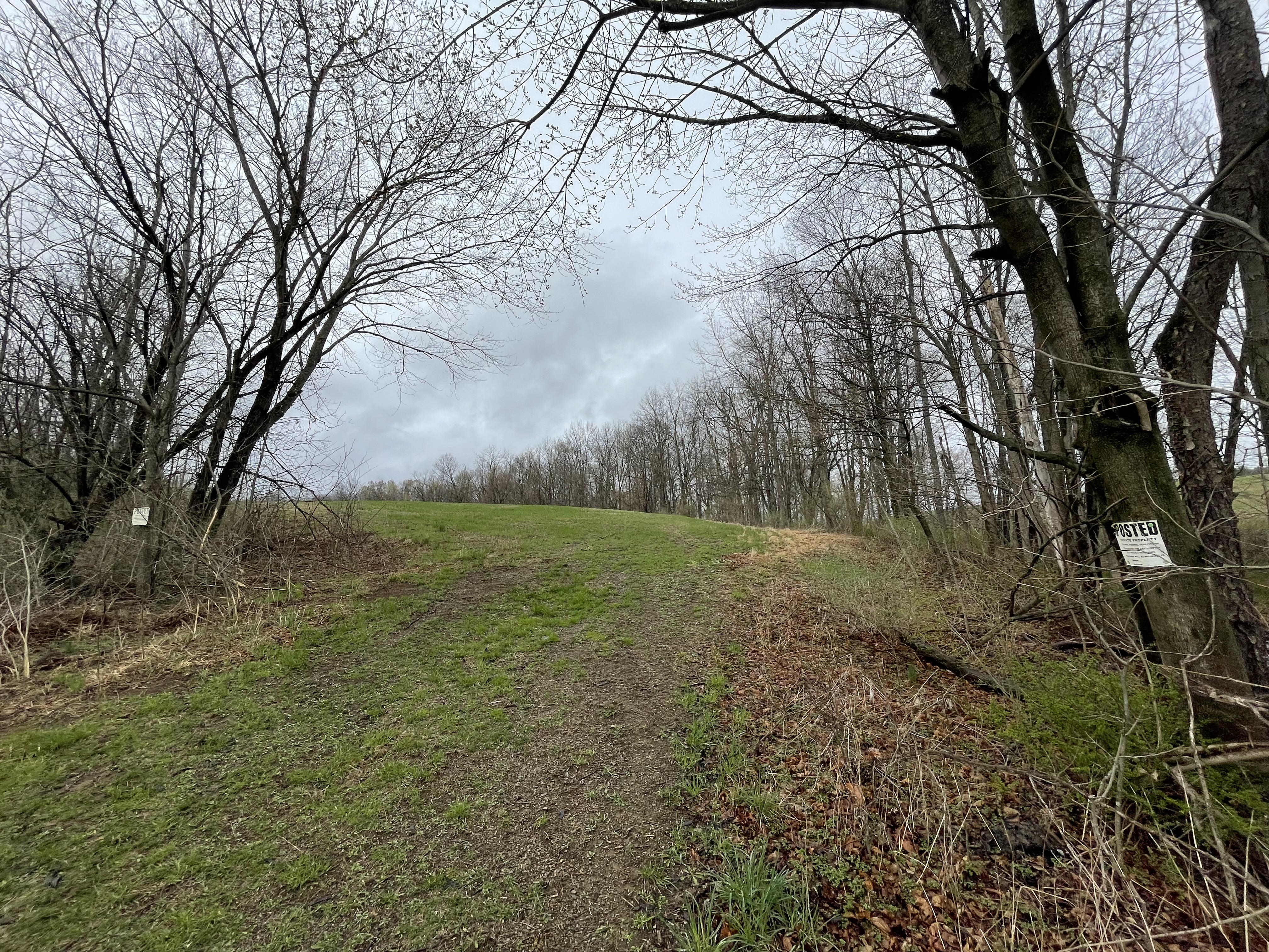 Property Photo #8